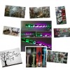 تولید کننده عمده محصولات چوبی