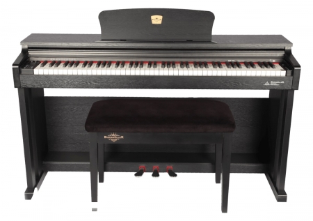 فروش پیانو برگمولر BM280 نقد و اقساط 