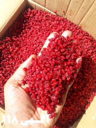 فروش انواع زرشک پفکی و دانه اناری