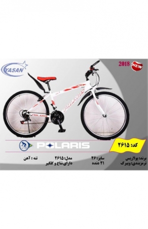 دوچرخه حرفه ای