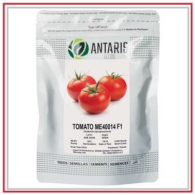 بذر گوجه فرنگی me40014 ارسال رایگان