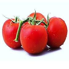 فروش بذره گوجه باسیمو سمینیس