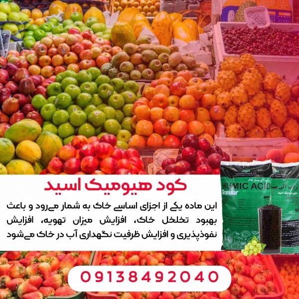 کود چالکودی هیومیک اسید گرانول