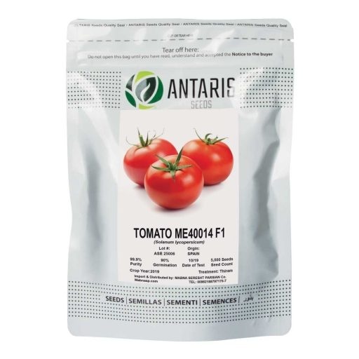 فروش بذر گوجه فرنگی تایفون