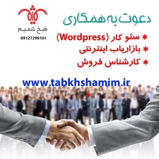 بازاریاب اینترنتی