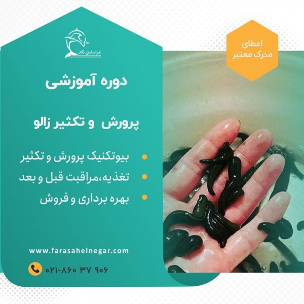 دوره آموزشی پرورش زالو  فراساحل نگار