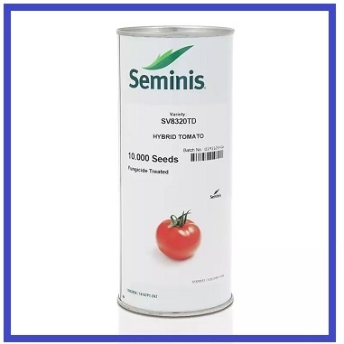 بذر گوجه فرنگی SV8320TD سمینیس ، ارسال