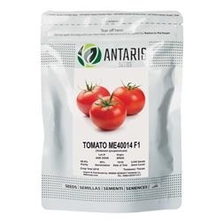 فروش بذر گوجه me40014