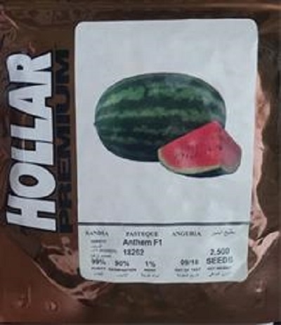 بذر هندوانه آنتم هولار