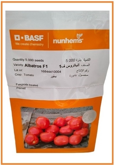 فروش  بذر گوجه فرنگی آلباتروس