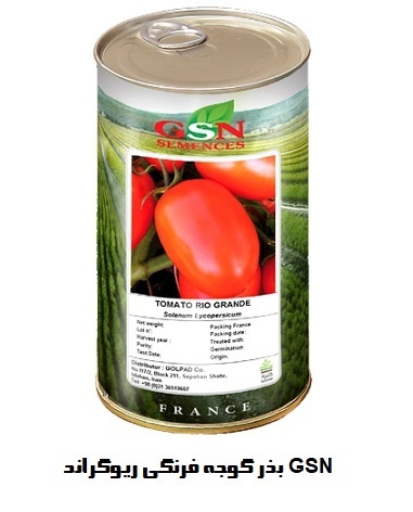 فروش بذر گوجه فرنگی ریوگراند GSN