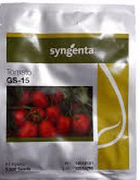 بذر گوجه هیبرید GS15..... سینجنتا
