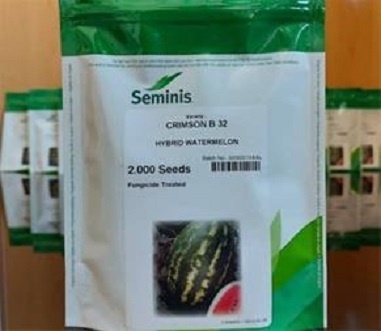 عرضه و فروش بذر هندوانه B32 سیمینس