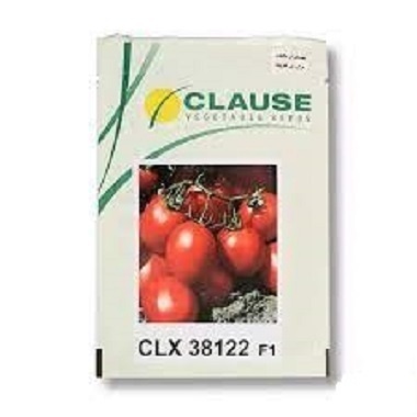 فروش بذر گوجه فرنگی سی ال ایکس38122
