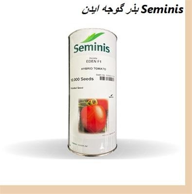 فروش بذر گوجه Eden F1 سمینس، بذر گوجه درجه 1