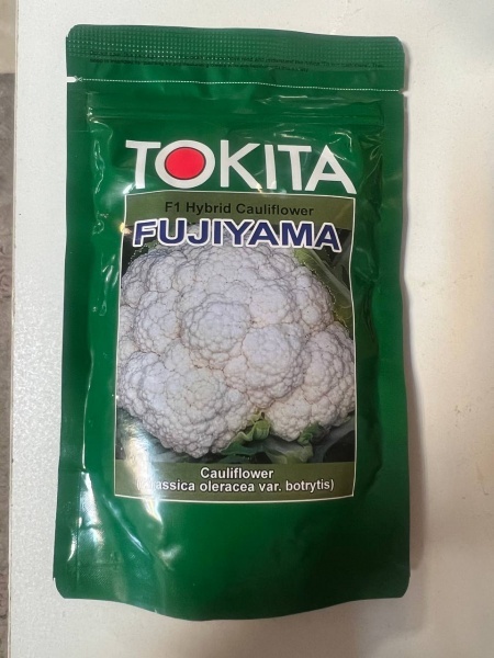 فروش بذر گل کلم توکیتا فوجی یاما ژاپن