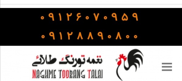فروش ویژه مرغ بومی تخمگذار اصلاح شده