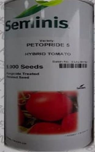 توزیع بذر گوجه پتوپراید 5