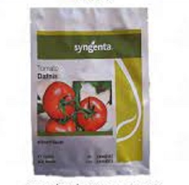 فروش بذر گوجه فرنگی دافنیس سینجینتا