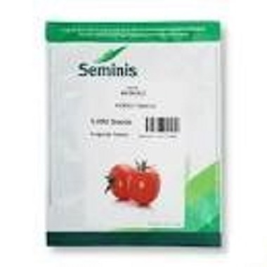 بذر گوجه فرنگی sv1585 سمینیس