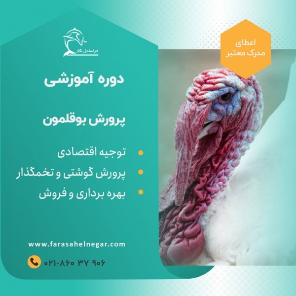 دوره آموزشی پرورش بوقلمون فراساحل نگار