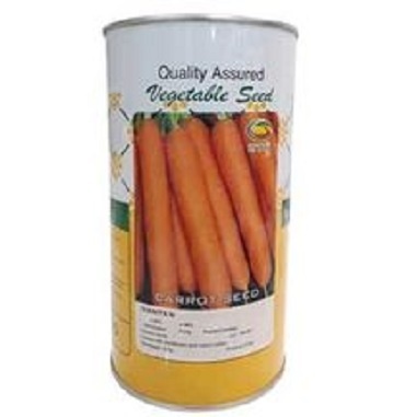 فروش بذر هویج راین
