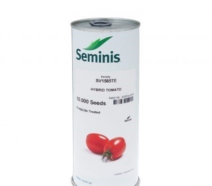 فروش بذر گوجه SV1585 سیمینس