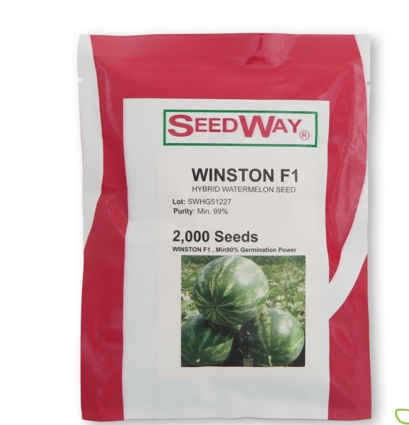 توزیع و فروش بذر هندوانه وینستون