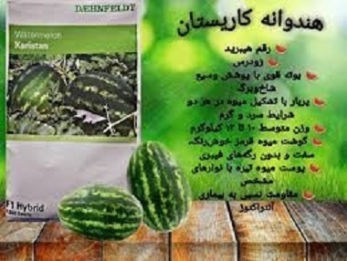 فروش بذر هندوانه  کاریستان