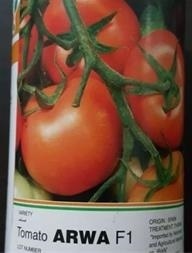 فروش بذر گوجه آروا