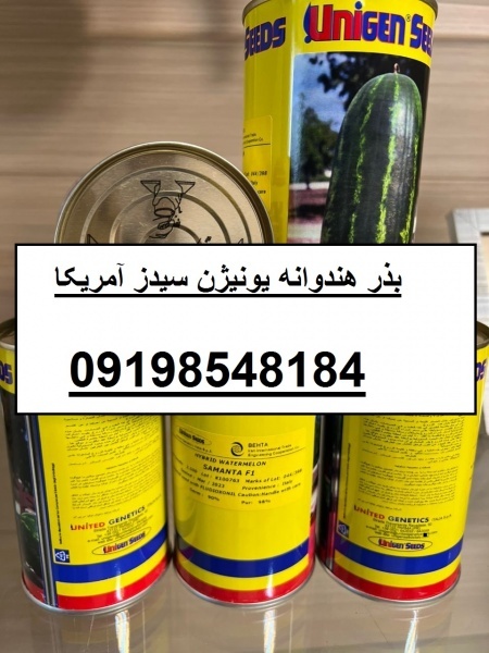 بذر هندوانه یونیژن سیدز آمریکا