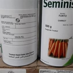 فروش بذر هویج فورتو