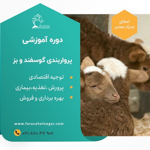 کارگاه آموزش عملی پرواربندی گوسفند و بز