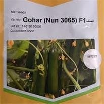 عرضه و توزیع عمده و خرده بذر خیار گلخانه ای گوهر