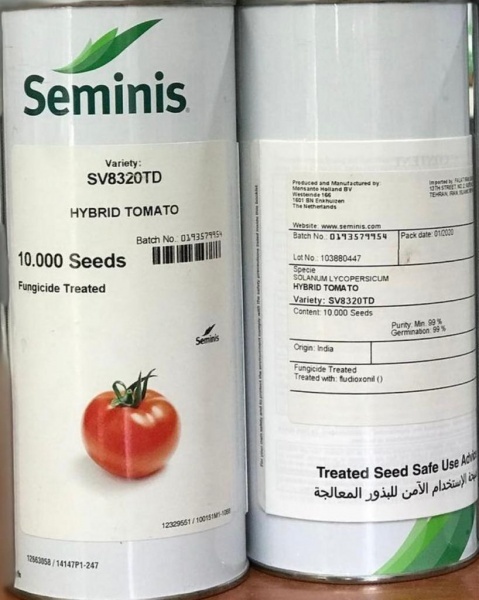 فروش بذر گوجه زودرس بریویو