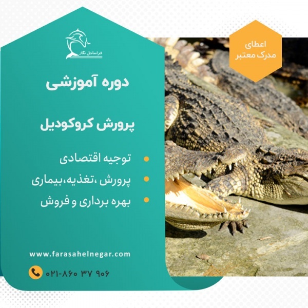دوره آموزشی پرورش کروکودیل