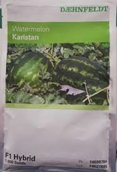 عرضه و توزیع بذر هندوانه کاریستان سینجینتا