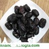 کنسانتره خرما  فروش کنسانتره خرما