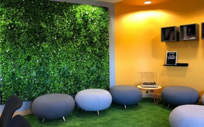 مزایای دیوار سبز در منزل و محل کار