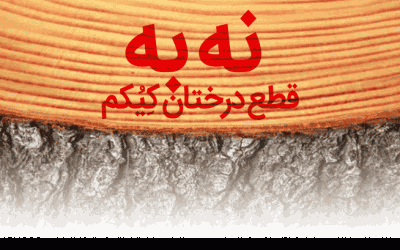 کمپین نجات درختان کیکم