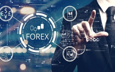 بهترین دوره آموزش فارکس کجاست؟